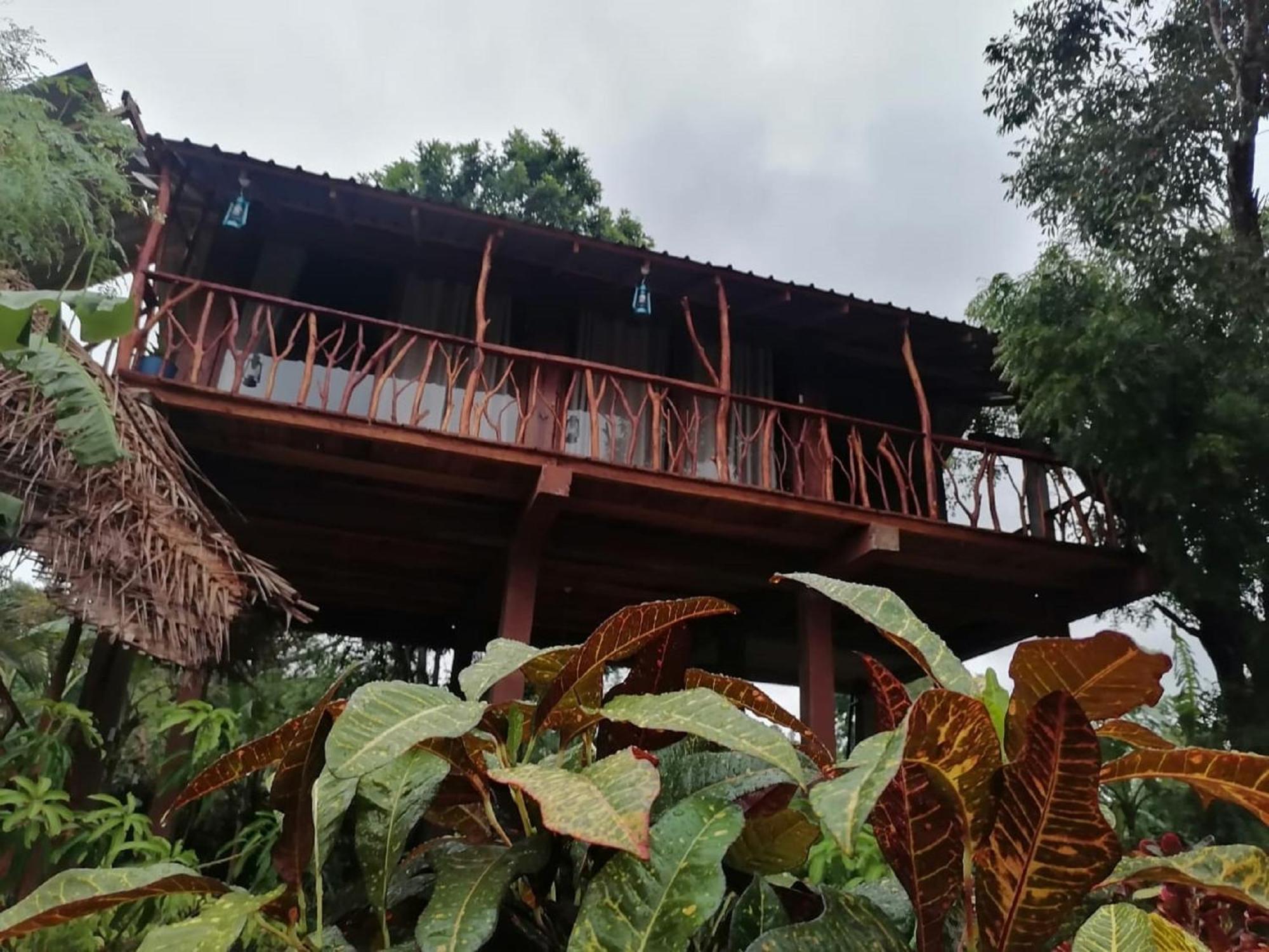 Вилла Sigiriya Rock View Tree House Экстерьер фото