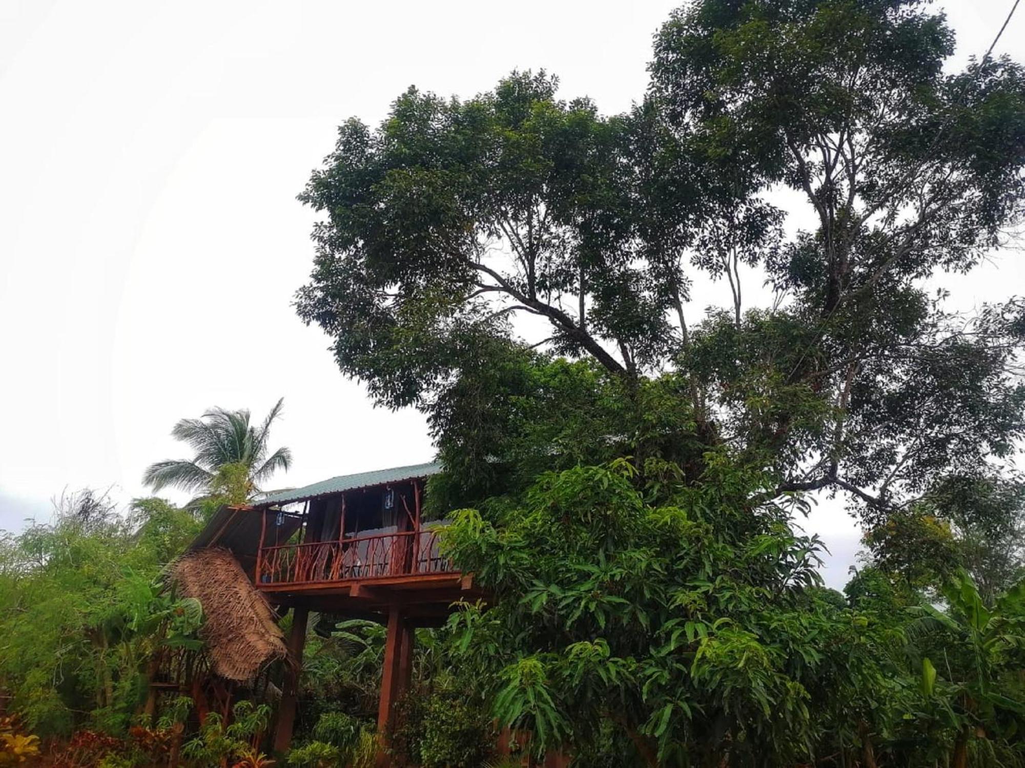 Вилла Sigiriya Rock View Tree House Экстерьер фото